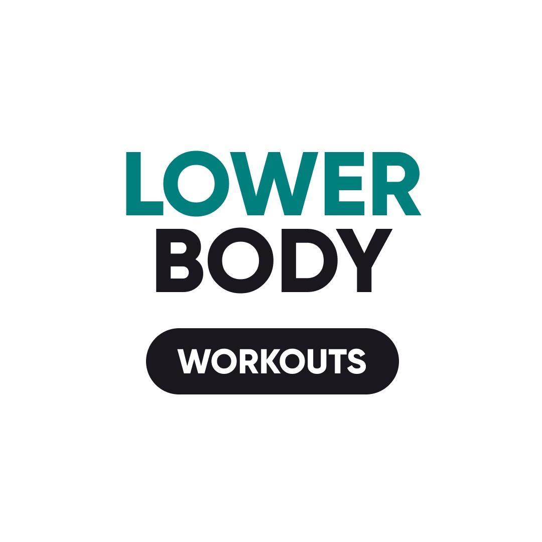 Lower Body Workout